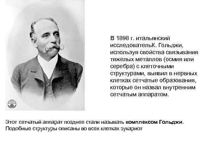  В 1898 г. итальянский исследователь. К. Гольджи, используя свойства связывания тяжелых металлов (осмия