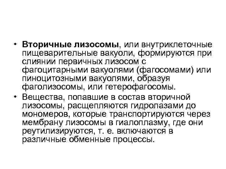  • Вторичные лизосомы, или внутриклеточные пищеварительные вакуоли, формируются при слиянии первичных лизосом с
