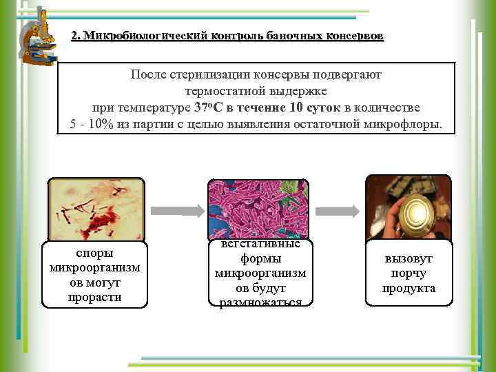 Микробиологический контроль производства овощных консервов