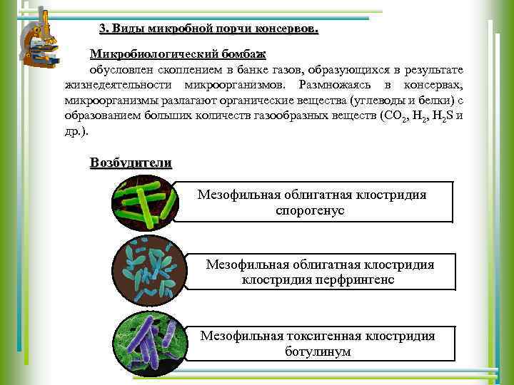3. Виды микробной порчи консервов. Микробиологический бомбаж обусловлен скоплением в банке газов, образующихся в