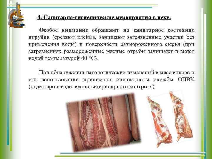 4. Санитарно-гигиенические мероприятия в цеху. Особое внимание обращают на санитарное состояние отрубов (срезают клейма,