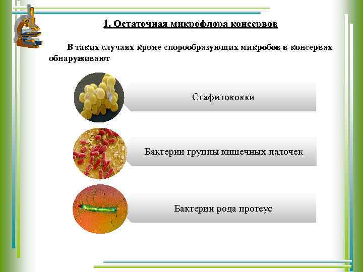 1. Остаточная микрофлора консервов В таких случаях кроме спорообразующих микробов в консервах обнаруживают Стафилококки