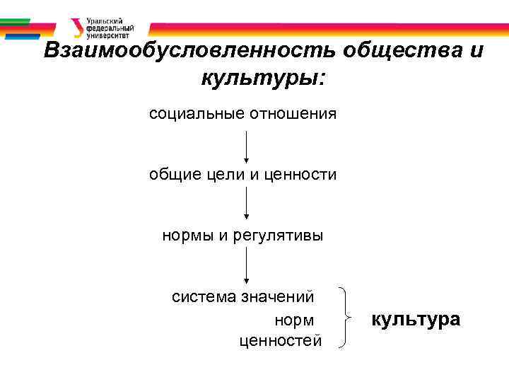 Взаимообусловленность общества и культуры: социальные отношения общие цели и ценности нормы и регулятивы система