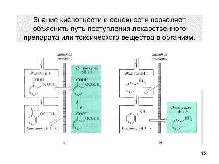 Знание кислотности и основности позволяет объяснить путь поступления лекарственного препарата или токсического вещества в
