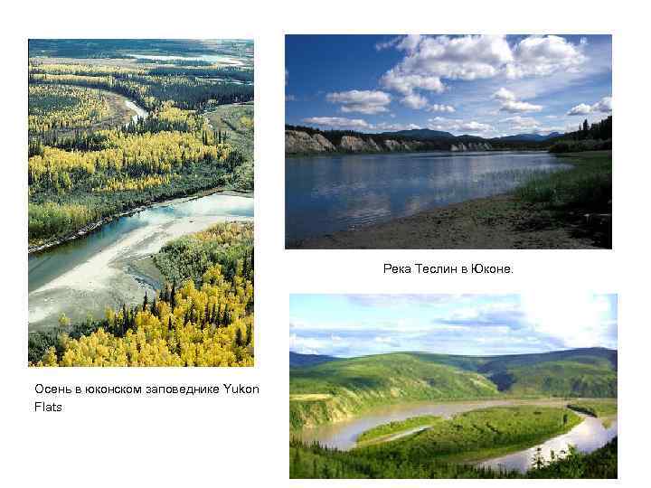 Река Теслин в Юконе. Осень в юконском заповеднике Yukon Flats 