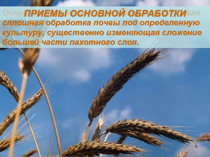 Основная обработка — это наиболее глубокая ПРИЕМЫ ОСНОВНОЙ ОБРАБОТКИ сплошная обработка почвы под определенную