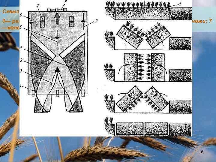 Схема рабочего процесса фронтального плуга: 1— рама; 2— заплужник; 3, 4—основные корпуса; 5, 6