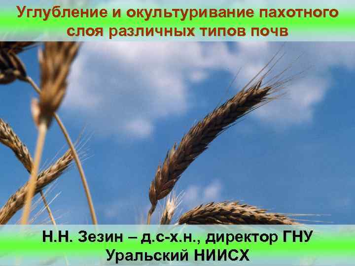 Углубление и окультуривание пахотного слоя различных типов почв Н. Н. Зезин – д. с-х.
