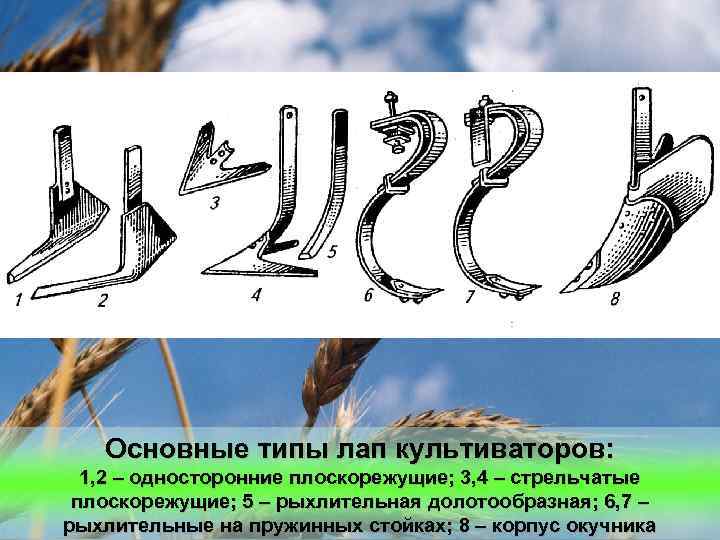 Основные типы лап культиваторов: 1, 2 – односторонние плоскорежущие; 3, 4 – стрельчатые плоскорежущие;