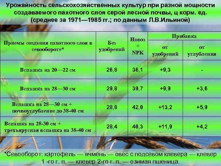 Урожайность сельскохозяйственных культур при разной мощности создаваемого пахотного слоя серой лесной почвы, ц корм.