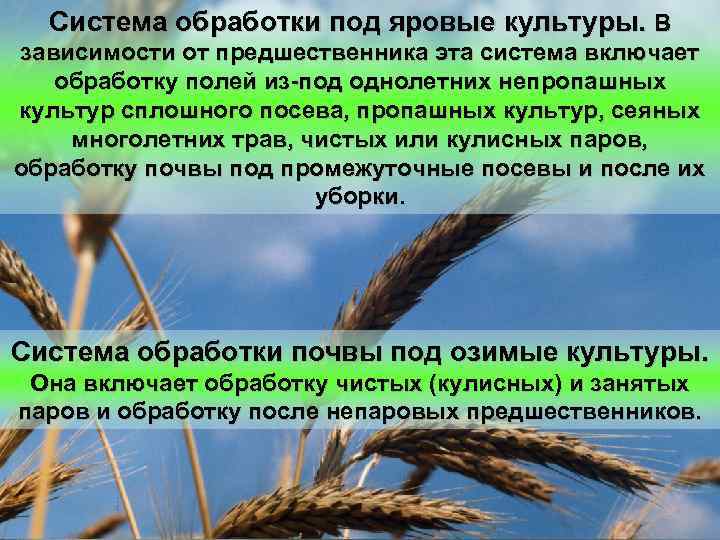 Система обработки под яровые культуры. В зависимости от предшественника эта система включает обработку полей