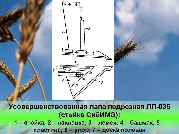 Усовершенствованная лапа подрезная ЛП-035 (стойка Сиб. ИМЭ): 1 – стойка; 2 – накладка; 3