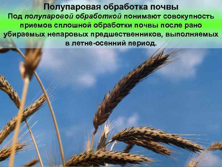 Полупаровая обработка почвы Под полупаровой обработкой понимают совокупность приемов сплошной обработки почвы после рано