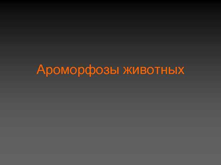 Ароморфозы животных 