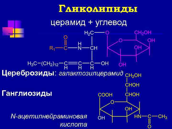 Гликолипиды церамид + углевод Цереброзиды: галактозилцерамид Ганглиозиды N-ацетилнейраминовая кислота 