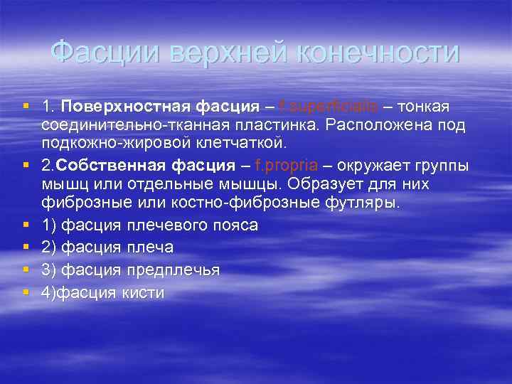 Фасции верхней конечности § 1. Поверхностная фасция – f. superficialis – тонкая соединительно-тканная пластинка.