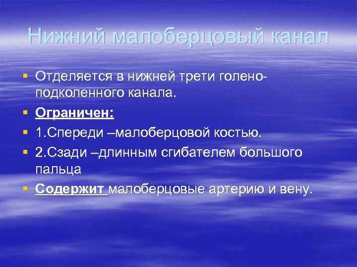 Нижний малоберцовый канал § Отделяется в нижней трети голеноподколенного канала. § Ограничен: § 1.