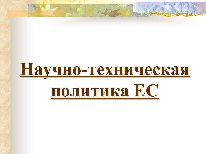 Научно-техническая политика ЕС 