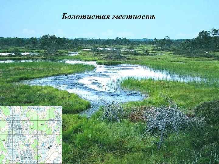 Болотистая местность 