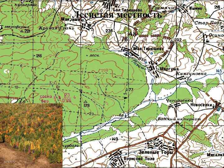Лесистая местность 