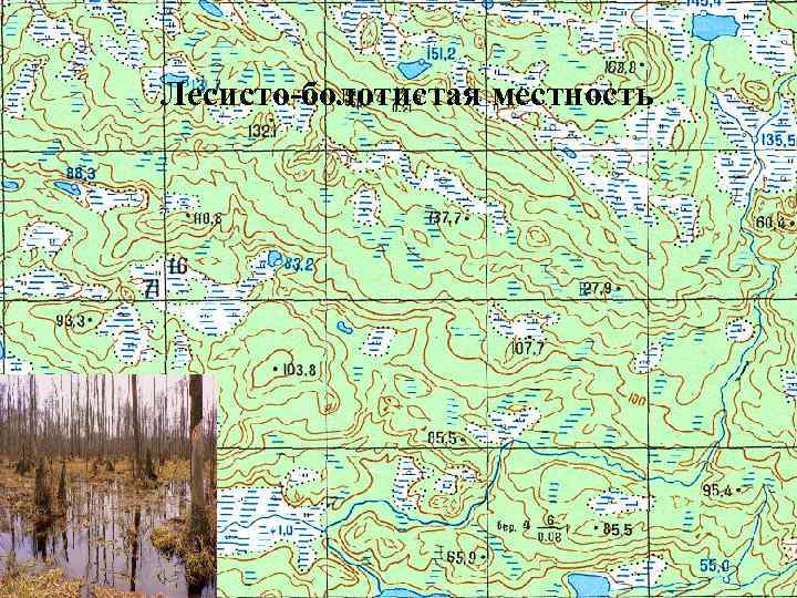  Лесисто-болотистая местность 