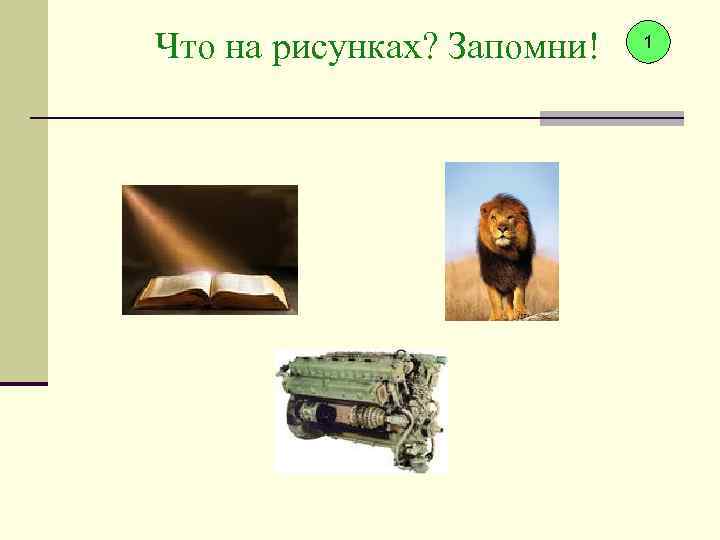 Что на рисунках? Запомни! 1 