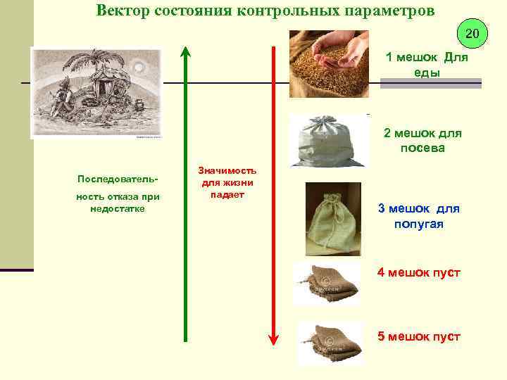 Вектор состояния контрольных параметров 20 1 мешок Для еды 2 мешок для посева Последовательность