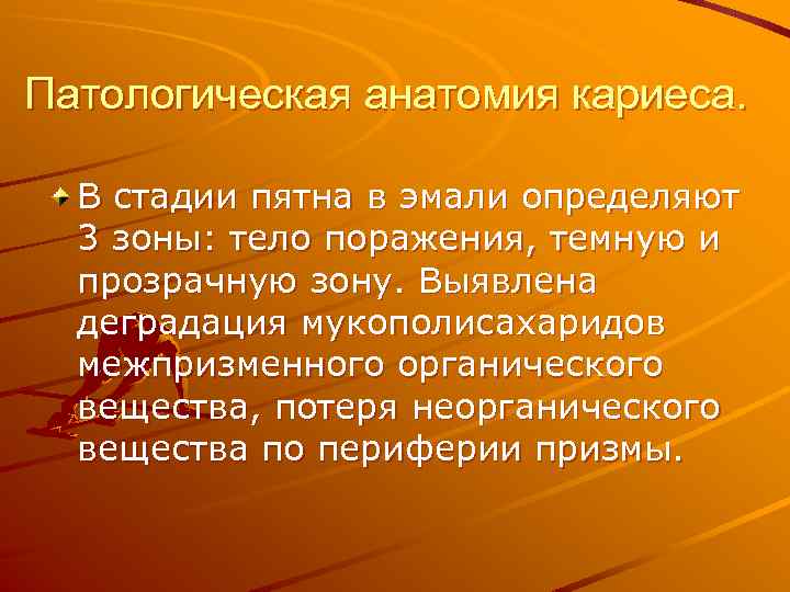 Патологическая анатомия кариеса. В стадии пятна в эмали определяют 3 зоны: тело поражения, темную