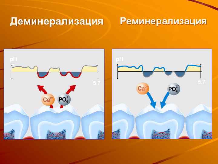 Деминерализация Реминерализация p. H 5. 7 