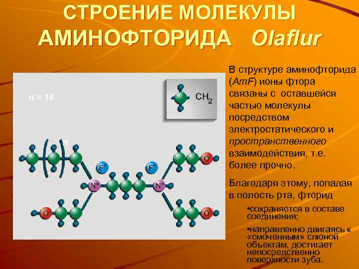 СТРОЕНИЕ МОЛЕКУЛЫ АМИНОФТОРИДА Olaflur n = 16 n В структуре аминофторида (Am. F) ионы