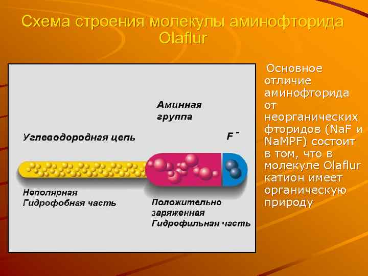 Схема строения молекулы аминофторида Olaflur Основное отличие аминофторида от неорганических фторидов (Na. F и