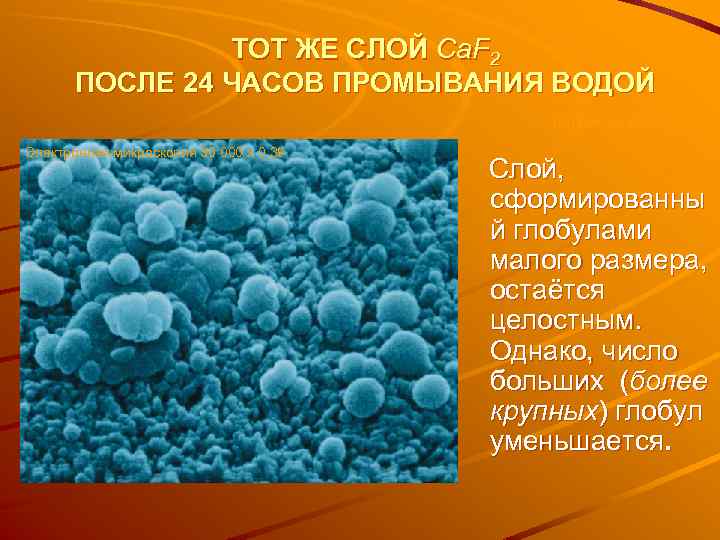 ТОТ ЖЕ СЛОЙ Ca. F 2 ПОСЛЕ 24 ЧАСОВ ПРОМЫВАНИЯ ВОДОЙ Barbakow et al.