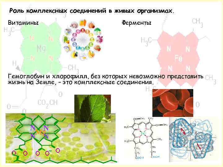 Роль комплексных соединений в живых организмах. Витамины Ферменты Гемоглобин и хлорофилл, без которых невозможно
