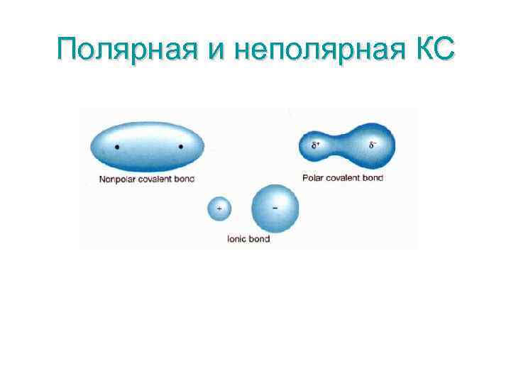 Полярная и неполярная КС 