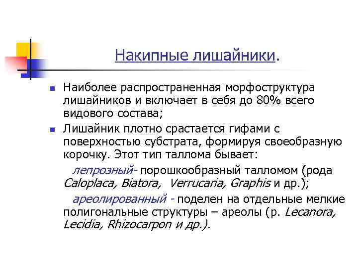Накипные лишайники. n n Наиболее распространенная морфоструктура лишайников и включает в себя до 80%