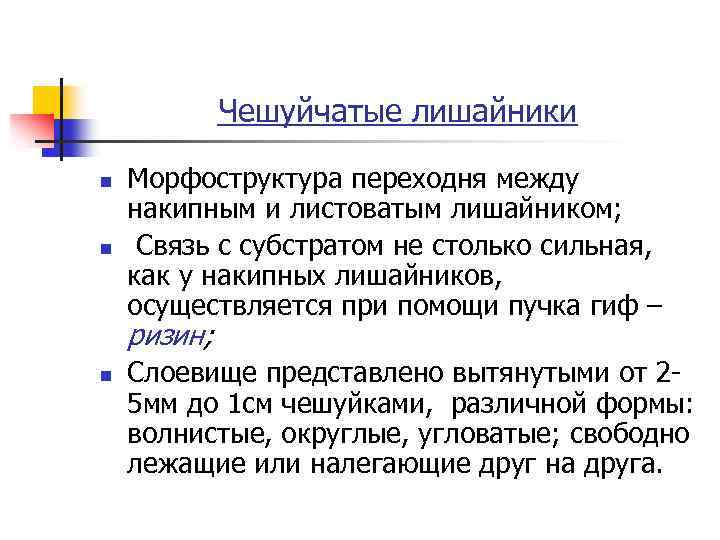 Чешуйчатые лишайники n n Морфоструктура переходня между накипным и листоватым лишайником; Связь с субстратом