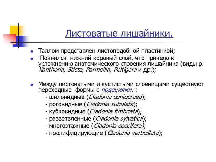 Листоватые лишайники. n n n Таллом представлен листоподобной пластинкой; Появился нижний коровый слой, что