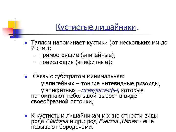 Кустистые лишайники. n n n Таллом напоминает кустики (от нескольких мм до 7 -8