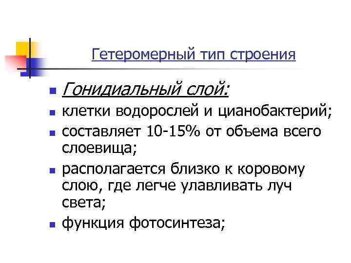 Гетеромерный тип строения n n n Гонидиальный слой: клетки водорослей и цианобактерий; составляет 10