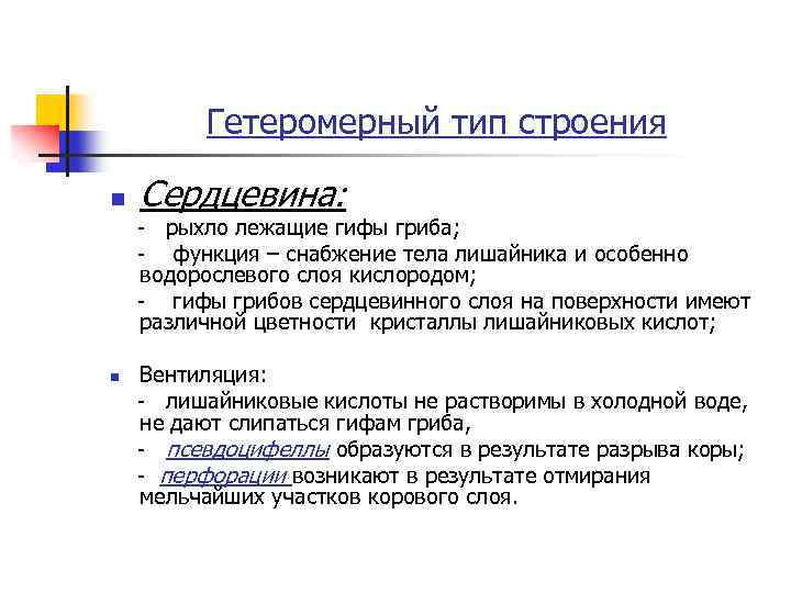 Гетеромерный тип строения n Сердцевина: - рыхло лежащие гифы гриба; - функция – снабжение