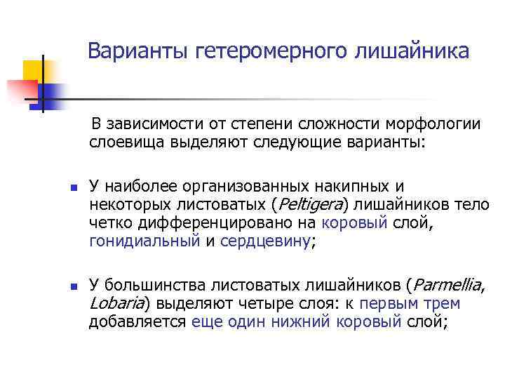 Варианты гетеромерного лишайника В зависимости от степени сложности морфологии слоевища выделяют следующие варианты: n