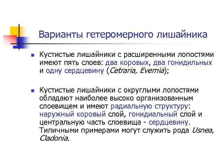Варианты гетеромерного лишайника n n Кустистые лишайники с расширенными лопостями имеют пять слоев: два