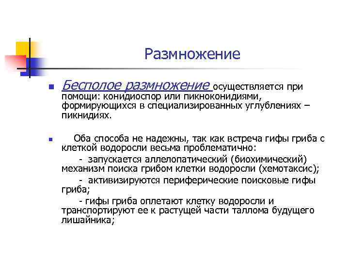 Размножение n n Бесполое размножение осуществляется при помощи: конидиоспор или пикноконидиями, формирующихся в специализированных