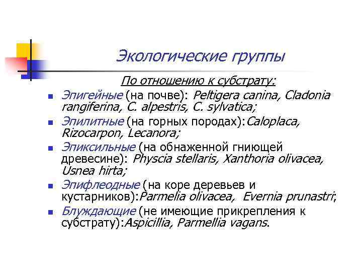 Экологические группы n n n По отношению к субстрату: Эпигейные (на почве): Peltigera canina,