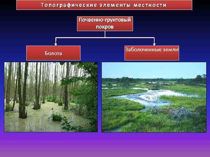 Топографические элементы местности Почвенно-грунтовый покров Болота Заболоченные земли 