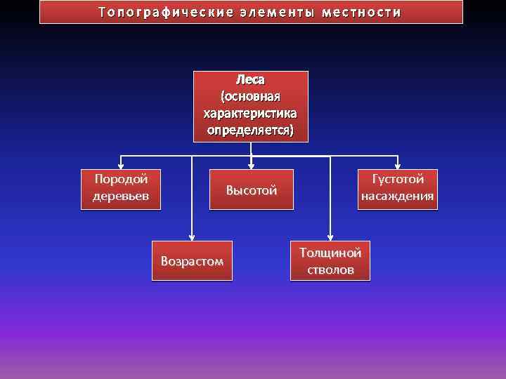 Топографические элементы местности Леса (основная характеристика определяется) Породой деревьев Высотой Возрастом Густотой насаждения Толщиной
