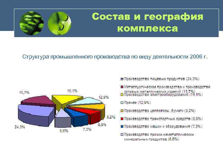 Состав и география комплекса Структура промышленного производства по виду деятельности 2006 г. 
