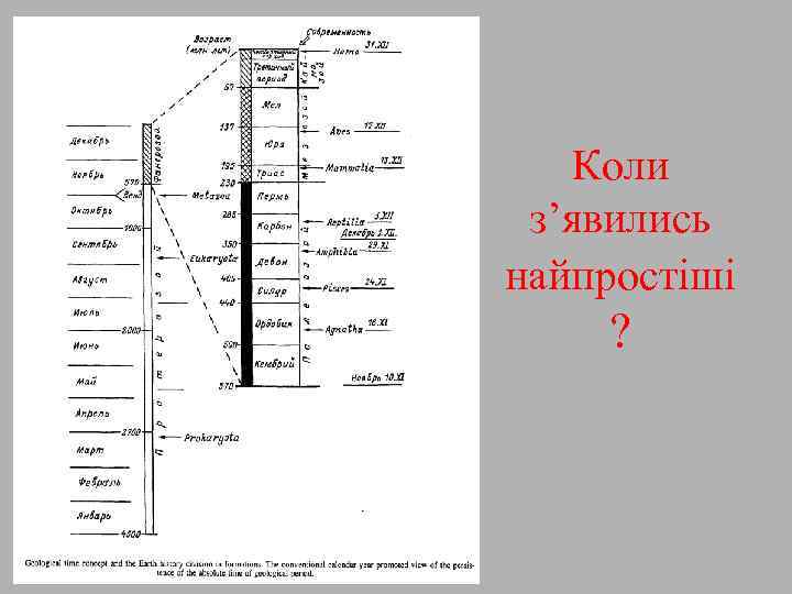 Коли з’явились найпростіші ? 