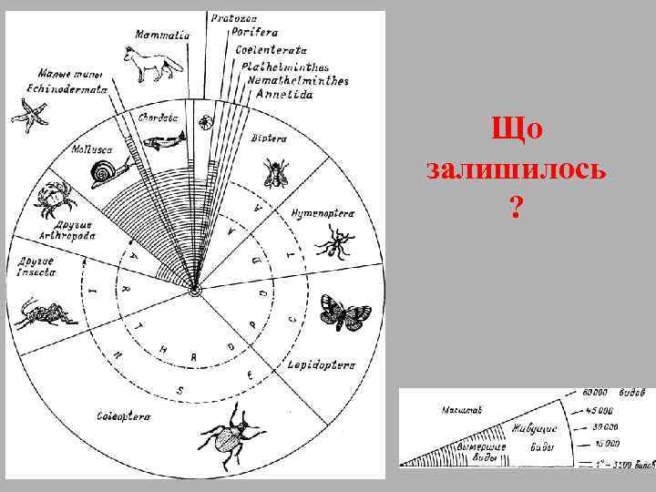 Що залишилось ? 