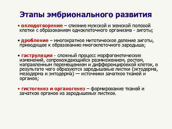  Этапы эмбрионального развития • оплодотворение – слияние мужской и женской половой клетки с